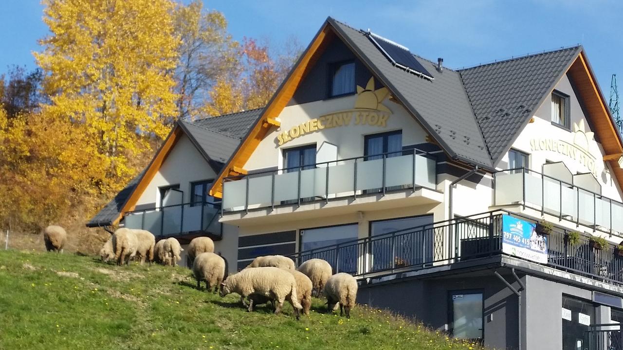 Sloneczny Stok Apartment Miedzybrodzie Zywieckie Bagian luar foto